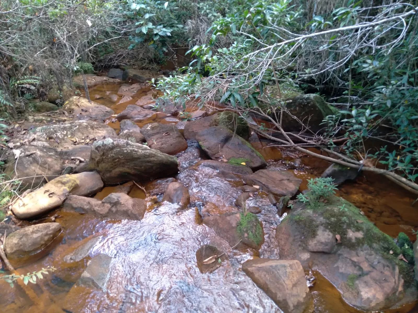 Foto: Terreno para venda