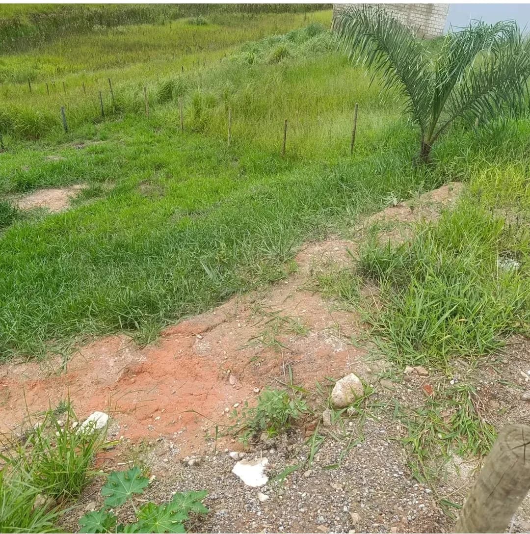 Lote para Venda